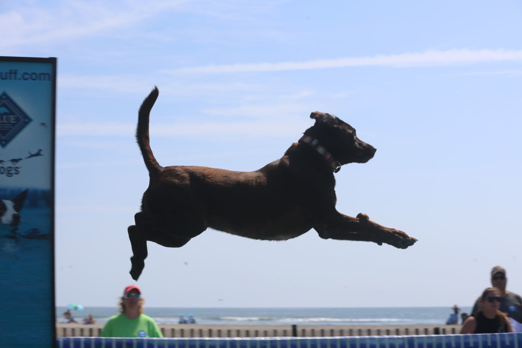090919_gal_dockdogsWW (3)